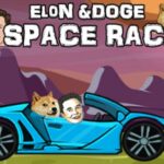 Carrera espacial de Elon Doge