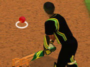 Thử thách người đánh bóng cricket