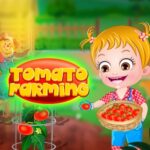 Cultivo de tomates Baby Hazel
