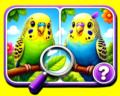 Budgie Spot the Difference