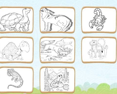 Desert Animals Coloring Book