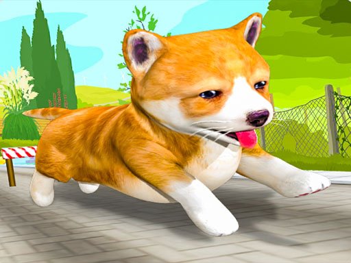 Búsqueda de perritos