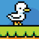 Chuyển động của vịt