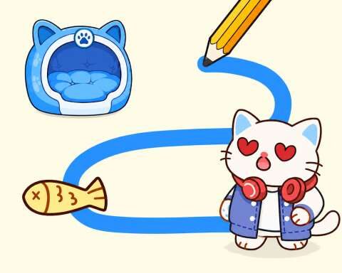 Kitty Home