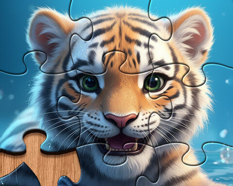 Master Jigsaw Puzzle Game
