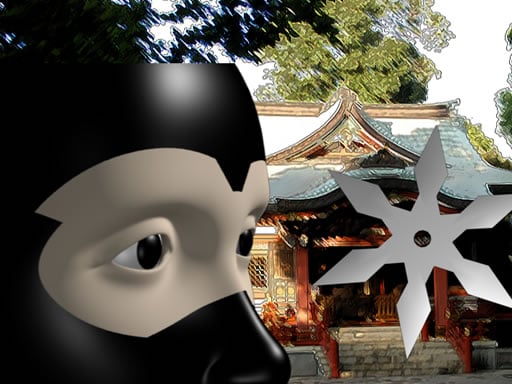 สถาบันนินจา