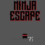 Ninja-Flucht