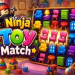 Ninja Toy Match
