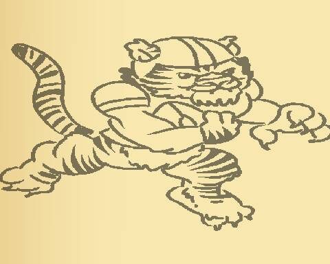 Tiger Coloring Book