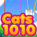Katzen 1010