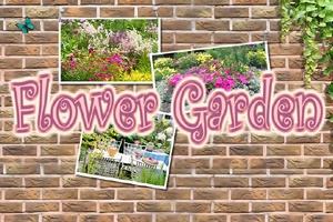 Flower Garden