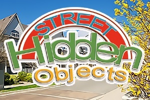 Street Hidden Objects